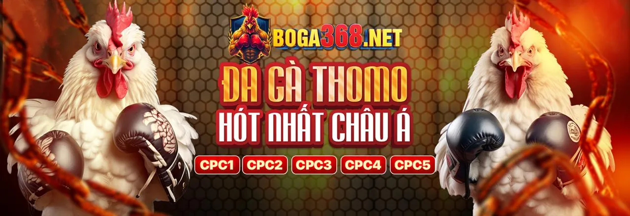 Hướng dẫn cho người mới bắt đầu tại Tabet Nhà Cái